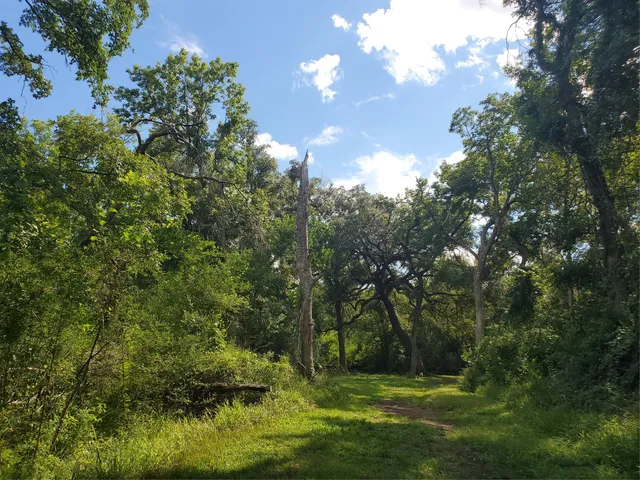 $475,000 | 0 County Road 488B, Sweeny, TX 77480