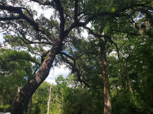 $475,000 | 0 County Road 488B, Sweeny, TX 77480