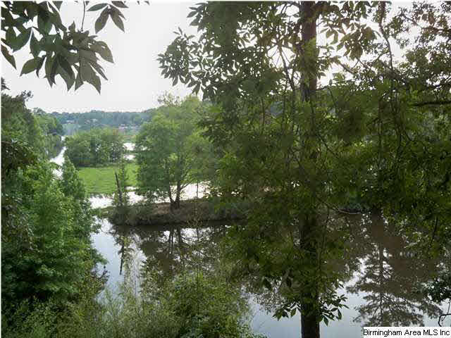 55 Stillwater Cove Riverside, AL 35135 - Photo 13 of 14