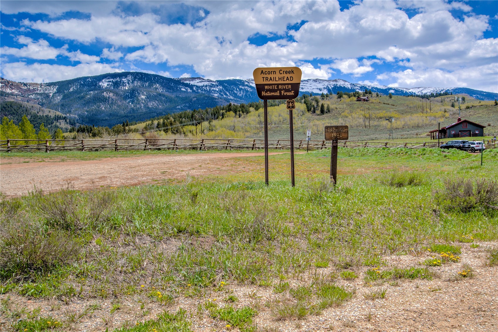 446 Rodeo Drive Silverthorne, CO 80498 - Photo 48 of 48
