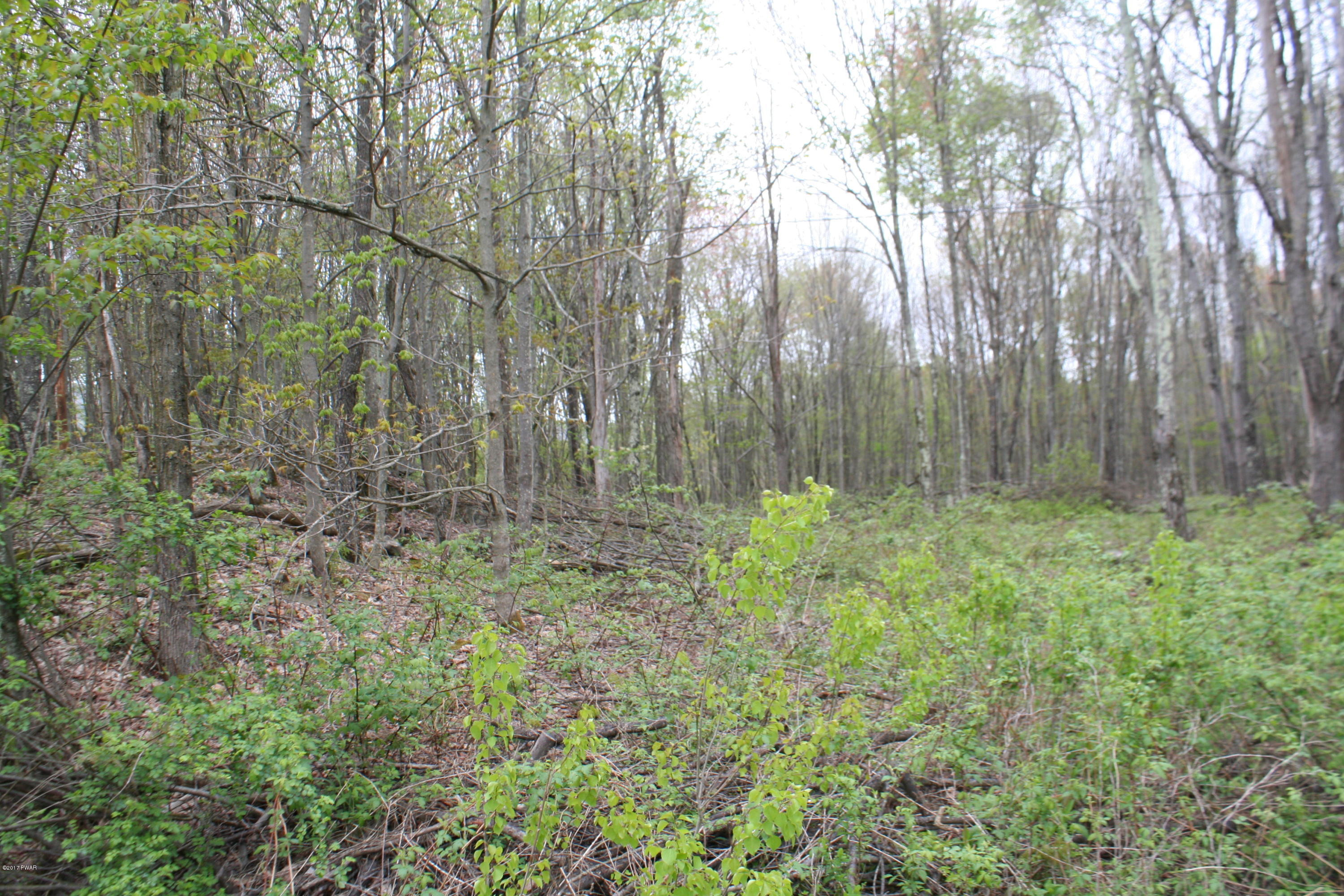 255 North Smith Road Waymart, PA 18472 - Photo 4 of 8