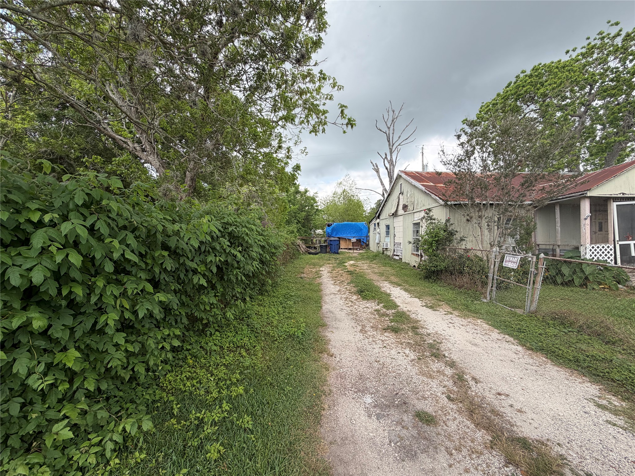 2212 Highway 288 Business Angleton, TX 77515 - Photo 2 of 7 a view of yard with green space