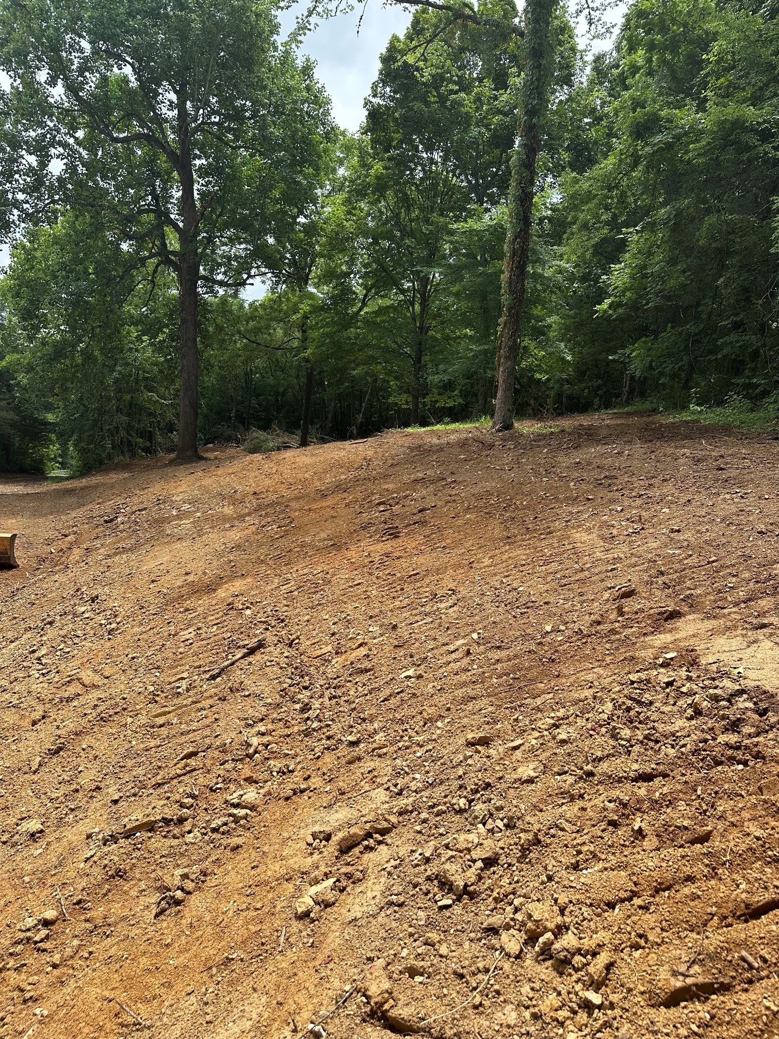 1200 Access Road Pulaski, TN 38478 - Photo 5 of 7 a backyard of a house with lots of green space