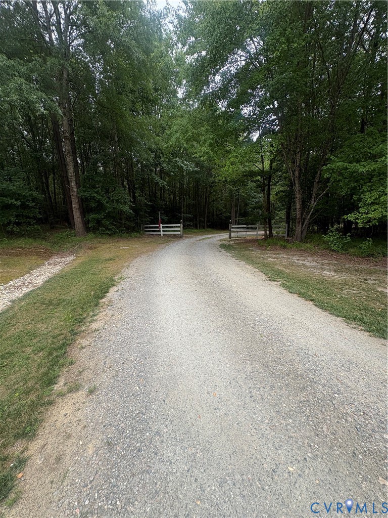 4215 Newville Road Waverly, VA 23890 - Photo 1 of 5 Gravel driveway bordered by grassy verges and dens