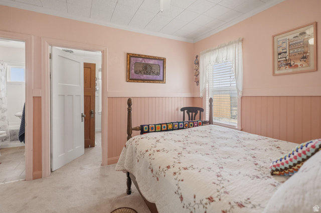 82 South 100 West Lyman, UT 84749 - Photo 21 of 27 Bedroom with wainscoting, crown molding, light carpet, and connected bathroom