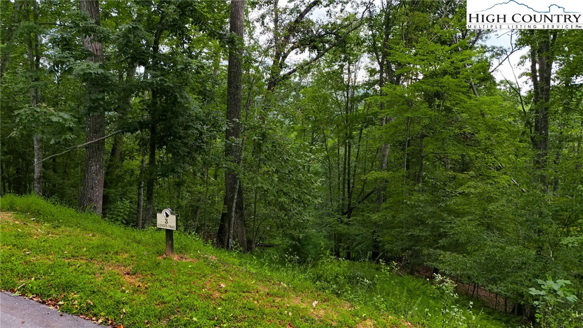 Lot T3 Coyote Trail Boone, NC 28607 - Photo 11 of 14