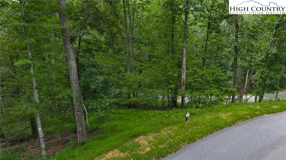 Lot T3 Coyote Trail Boone, NC 28607 - Photo 3 of 14