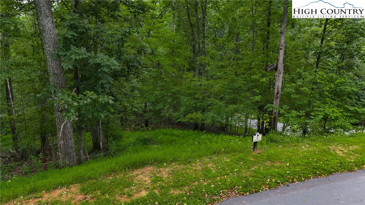 Lot T3 Coyote Trail Boone, NC 28607 - Photo 4 of 14