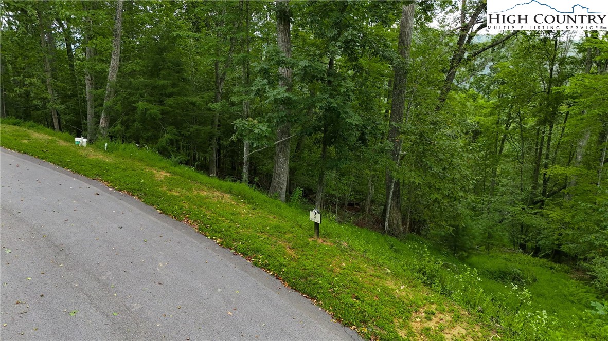 Lot T3 Coyote Trail Boone, NC 28607 - Photo 5 of 14