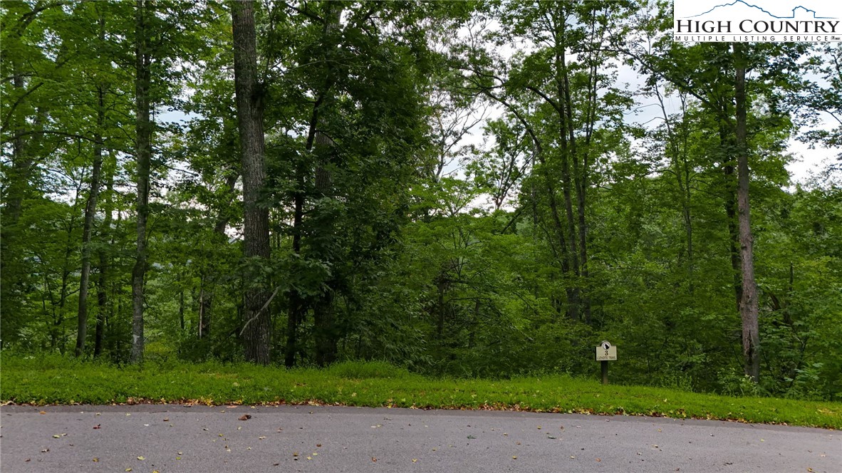 Lot T3 Coyote Trail Boone, NC 28607 - Photo 7 of 14