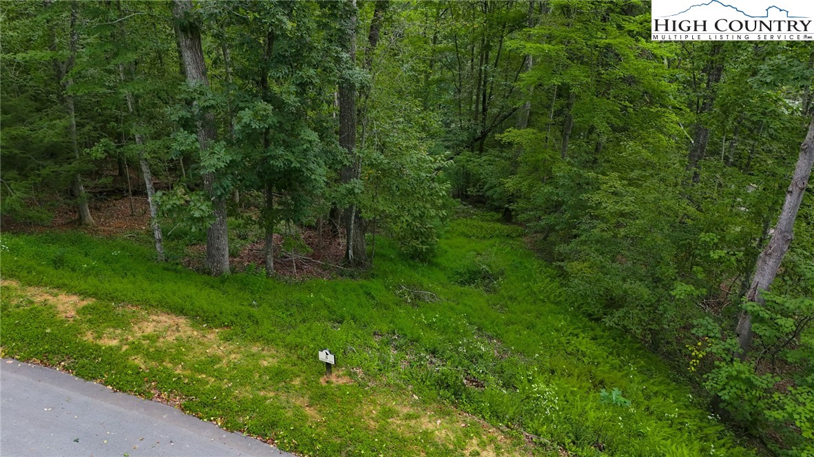 Lot T3 Coyote Trail Boone, NC 28607 - Photo 8 of 14