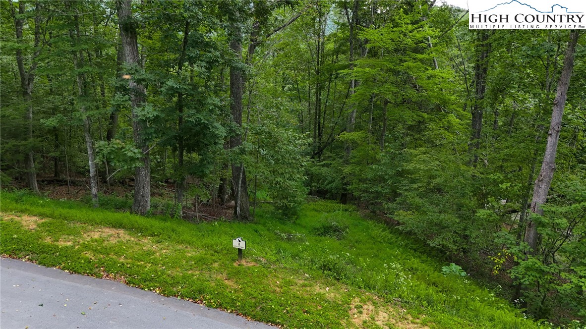 Lot T3 Coyote Trail Boone, NC 28607 - Photo 9 of 14