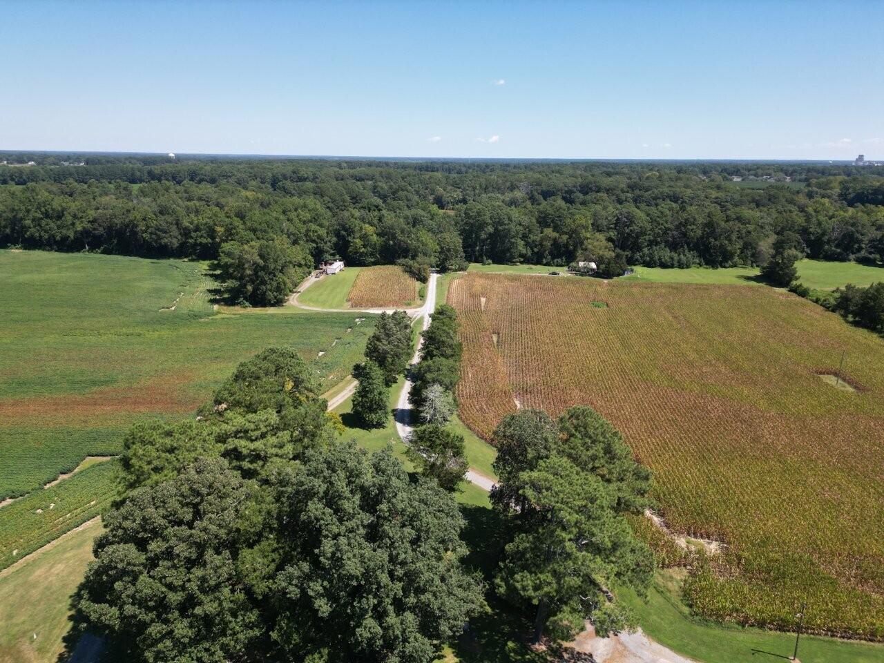 300 Rawlsdale Road Franklin, VA 23851 - Photo 6 of 15 DJI_0719