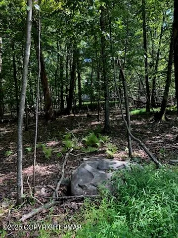 $20,000 | 8 Delilah Road, East Stroudsburg, PA 18301