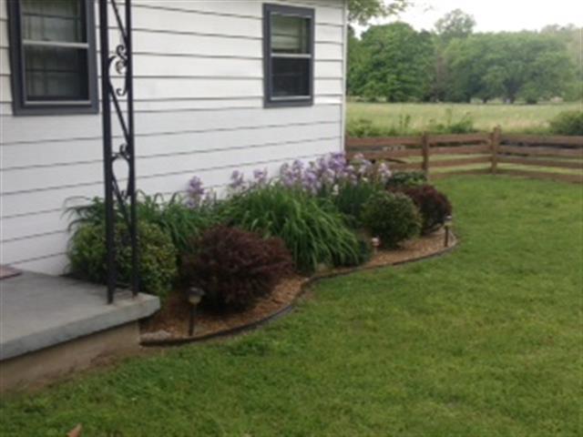134 Carlisle Road Dover, TN 37058 - Photo 5 of 10 Beautiful, established landscaping.