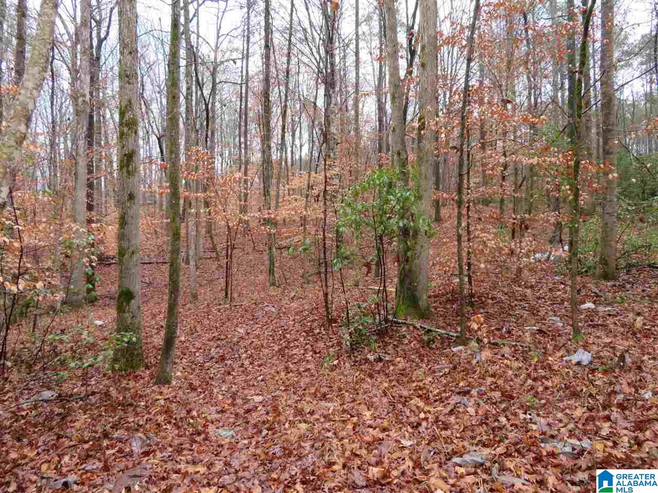 138 Cedar Grove Road West Blocton, AL 35184 - Photo 32 of 44