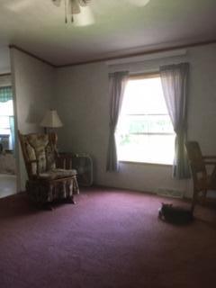 42 Woodland Road Otisfield, ME 04270 - Photo 23 of 57 IMG_7982