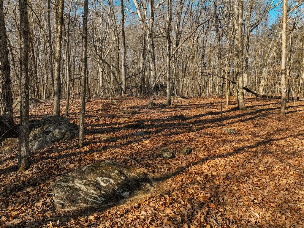 Lot 11 Mount Mincie Road Murrayville, GA 30564 - Photo 11 of 15 a view of a yard with trees