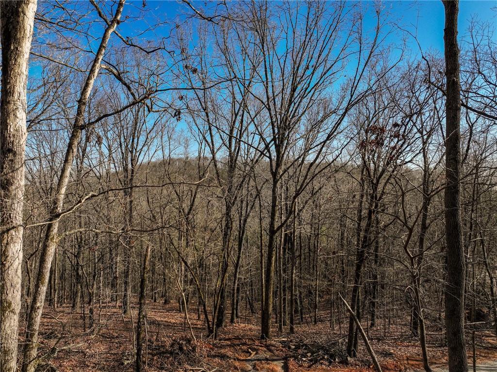 Lot 11 Mount Mincie Road Murrayville, GA 30564 - Photo 12 of 15 a backyard of a house with lots of green space