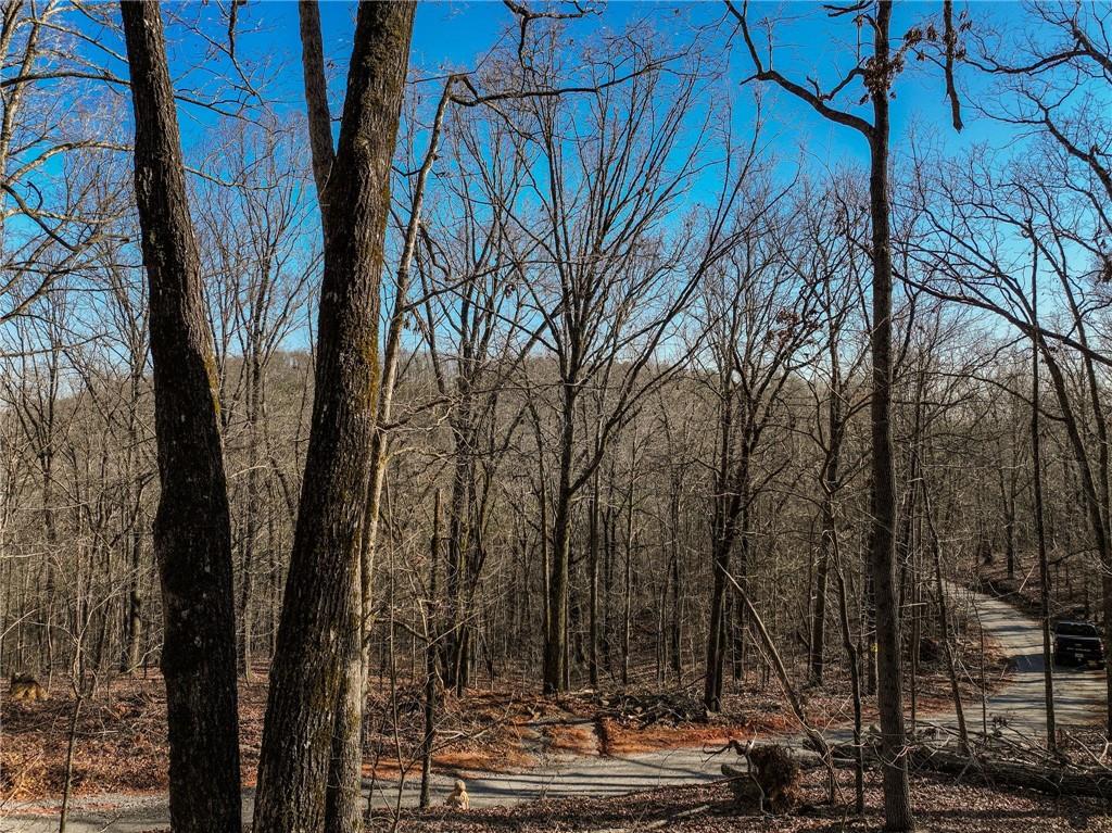 Lot 11 Mount Mincie Road Murrayville, GA 30564 - Photo 13 of 15 a view of a yard with plants and trees