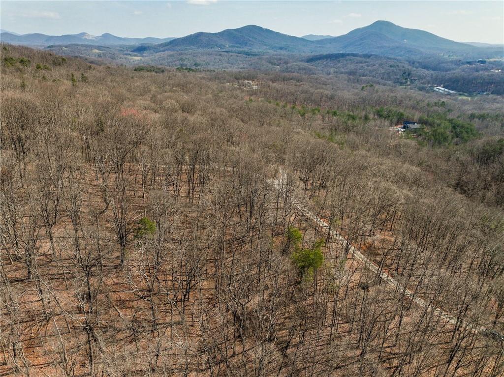 Lot 11 Mount Mincie Road Murrayville, GA 30564 - Photo 14 of 15 a view of mountain and a mountain