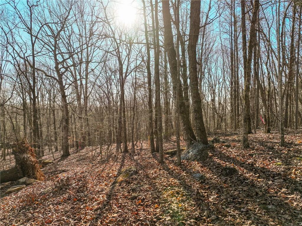 Lot 11 Mount Mincie Road Murrayville, GA 30564 - Photo 2 of 15 a view of outdoor space with lots of trees