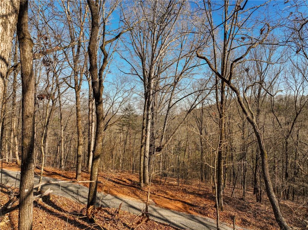 Lot 11 Mount Mincie Road Murrayville, GA 30564 - Photo 3 of 15 a backyard of a house with lots of green space