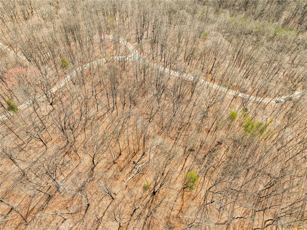 Lot 11 Mount Mincie Road Murrayville, GA 30564 - Photo 7 of 15