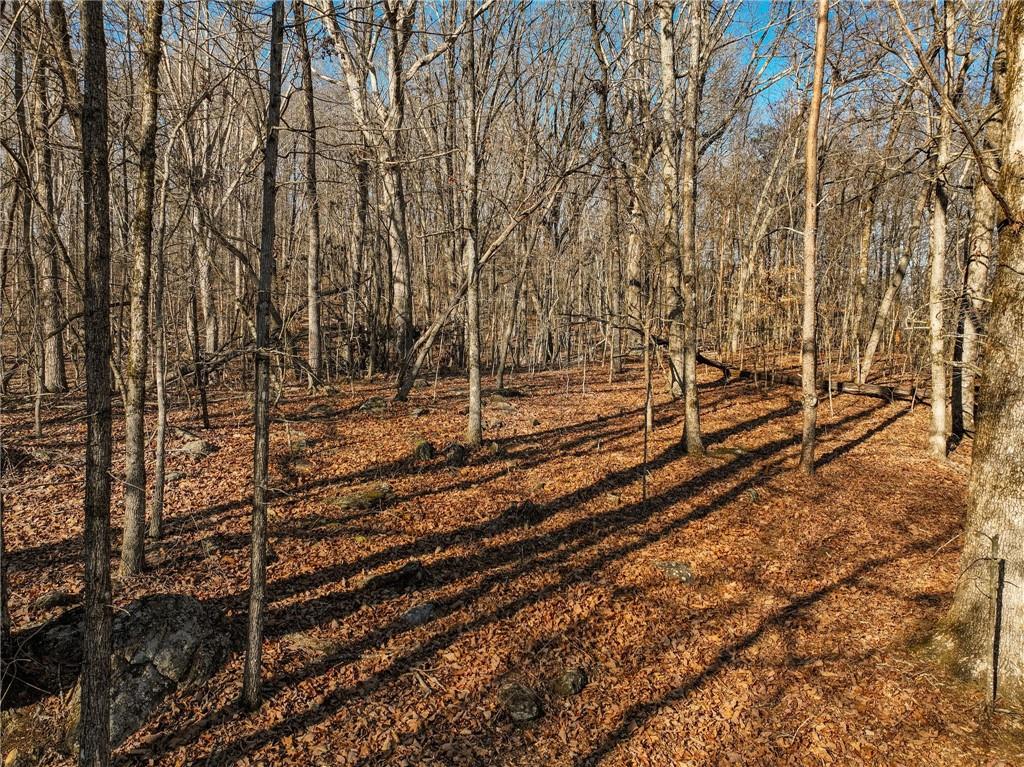 Lot 11 Mount Mincie Road Murrayville, GA 30564 - Photo 9 of 15 a view of a yard with wooden fence