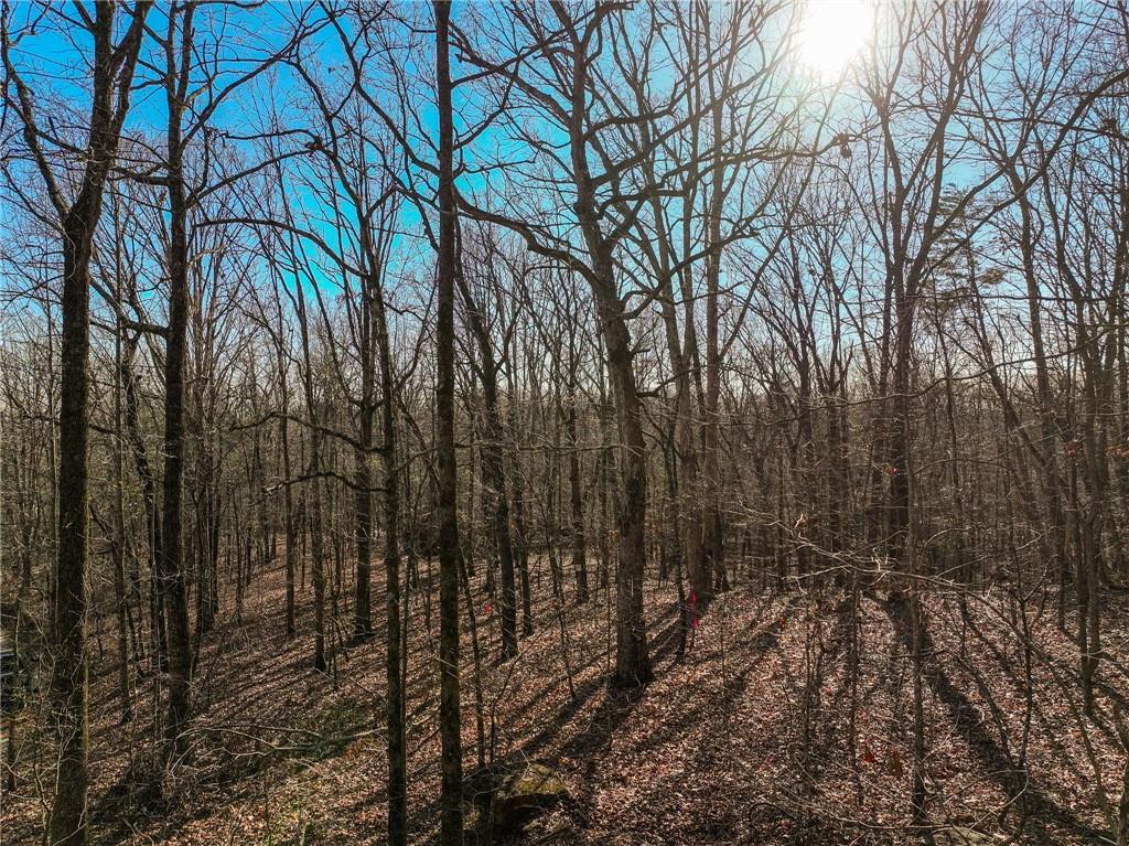Lot 11 Mount Mincie Road Murrayville, GA 30564 - Photo 10 of 15 a view of a yard