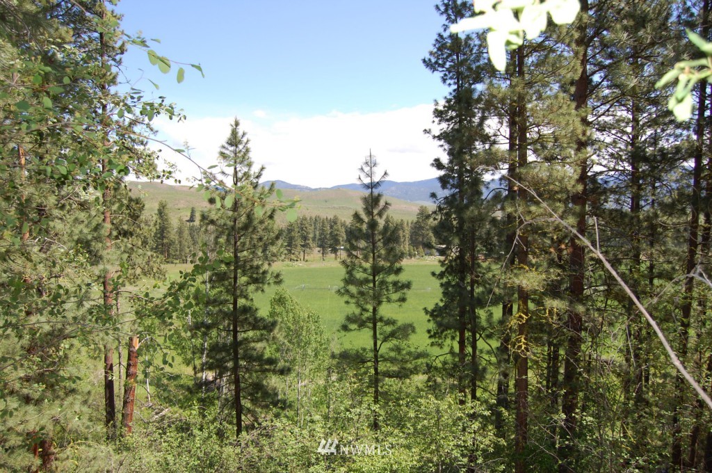 0 Lobos Run Road Winthrop, WA 98862 - Photo 1 of 1 Gallery Image 1