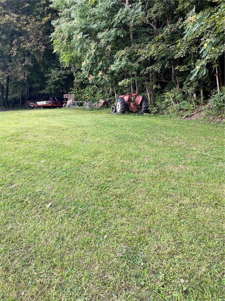 Layton Street Lyons, NY 14489 - Photo 2 of 4