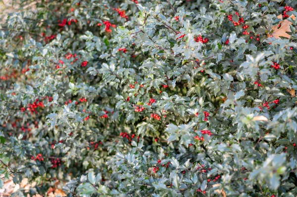 $425,000 | 75 Main Road, Charleston, ME 04422