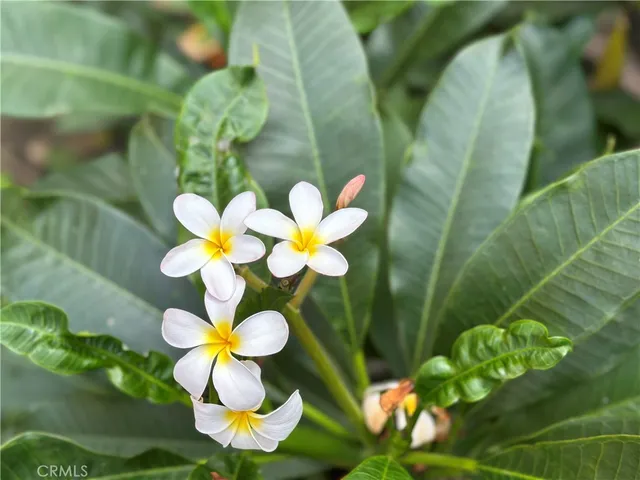 a bathroom with a sink mirror and toilet