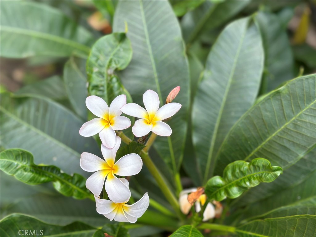 6600 Warner Avenue, Unit 210 Huntington Beach, CA 92647 - Photo 25 of 47 a bathroom view with a mirror