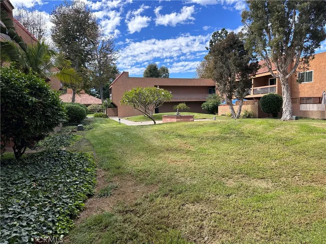 a close up of a plant