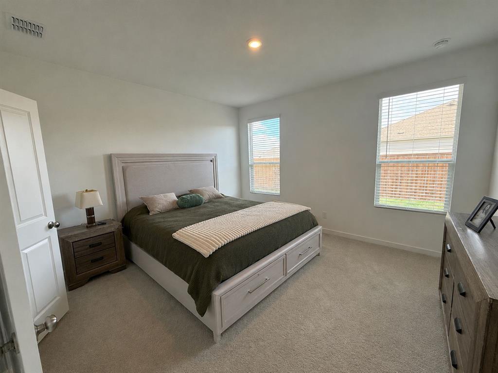 14184 Hammersmith Street Pilot Point, TX 76258 - Photo 5 of 14
