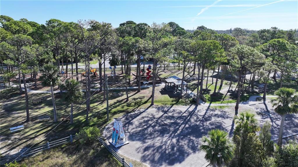 1460 Ribolla Drive Palm Harbor, FL 34683 - Photo 43 of 47