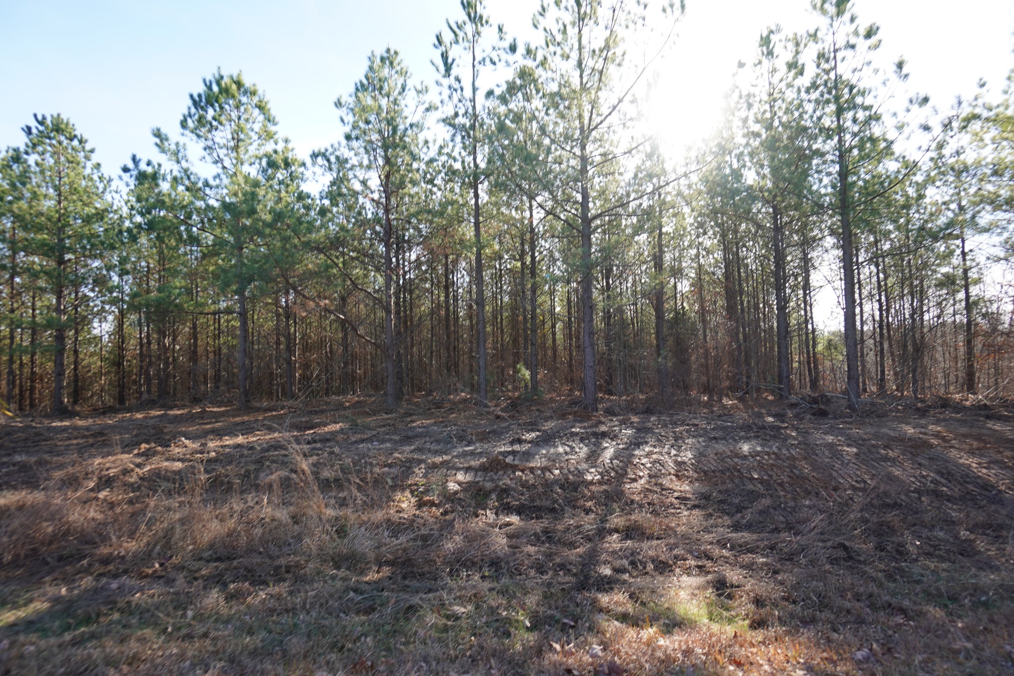 3 Onion Hill Road Dover, TN 37058 - Photo 11 of 20 Gallery Image 11
