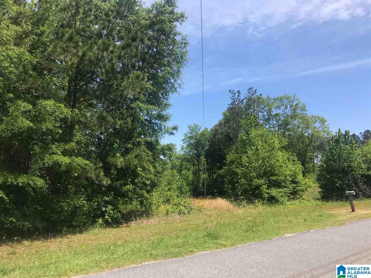 Firehouse Road, Unit 21 Goodwater, AL 35072 - Photo 2 of 21