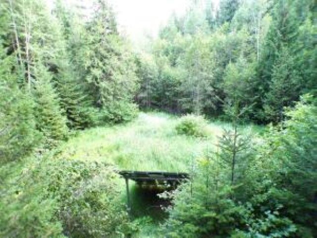 3121 15 Mile Creek Road Kettle Falls, WA 99141 - Photo 30 of 45