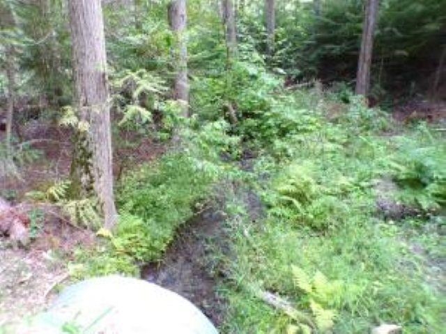 3121 15 Mile Creek Road Kettle Falls, WA 99141 - Photo 31 of 45