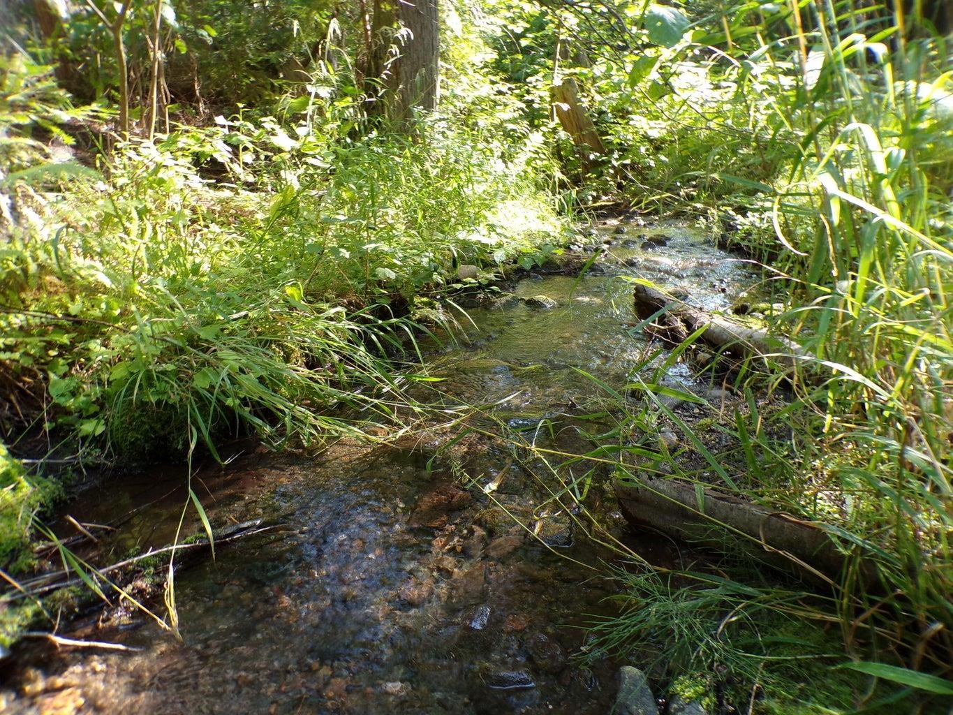 3121 15 Mile Creek Road Kettle Falls, WA 99141 - Photo 32 of 45