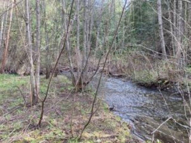 3121 15 Mile Creek Road Kettle Falls, WA 99141 - Photo 34 of 45