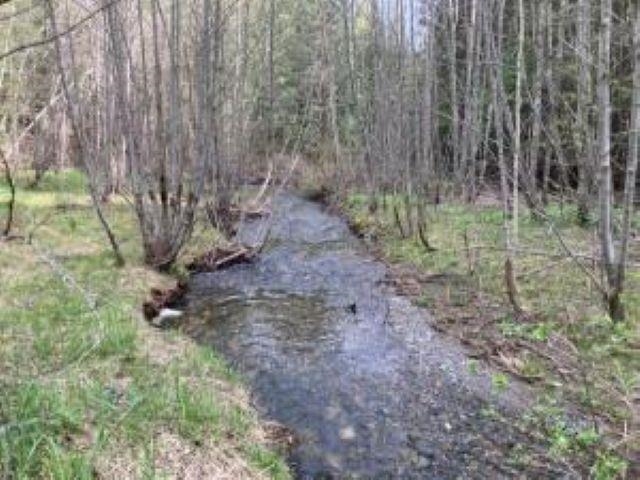 3121 15 Mile Creek Road Kettle Falls, WA 99141 - Photo 35 of 45