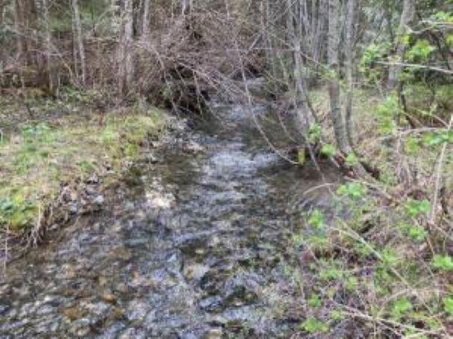 3121 15 Mile Creek Road Kettle Falls, WA 99141 - Photo 36 of 45