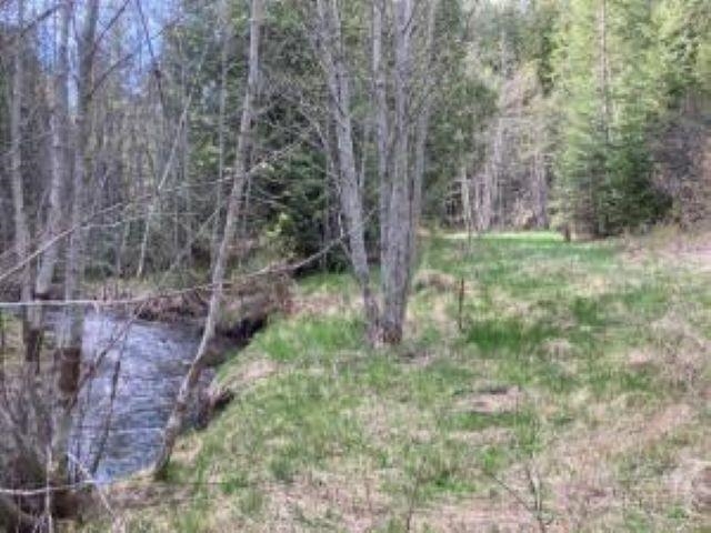 3121 15 Mile Creek Road Kettle Falls, WA 99141 - Photo 37 of 45