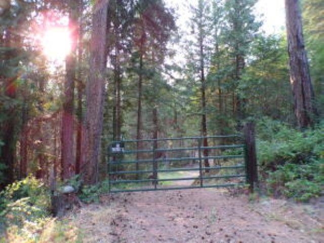 3121 15 Mile Creek Road Kettle Falls, WA 99141 - Photo 40 of 45