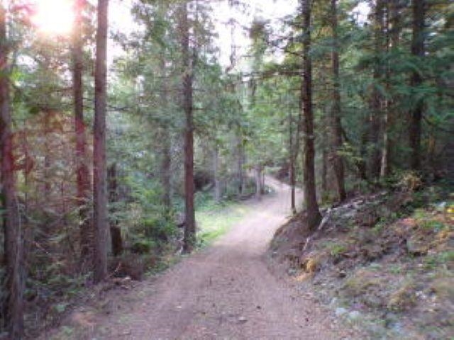 3121 15 Mile Creek Road Kettle Falls, WA 99141 - Photo 42 of 45