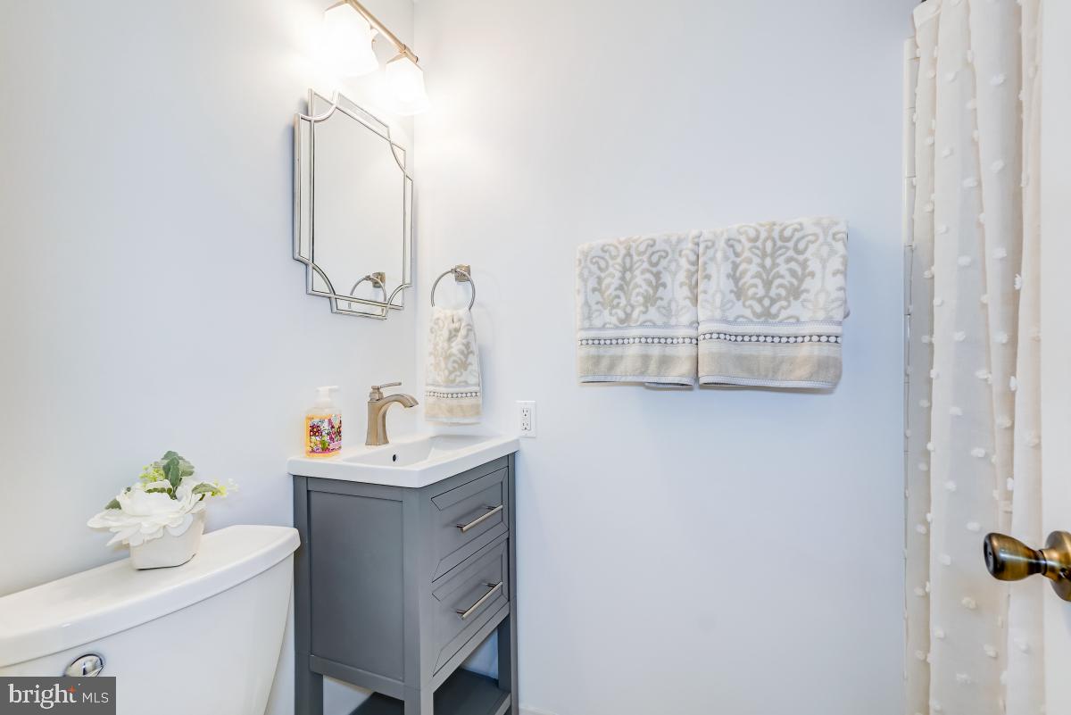 13217 Rippling Brook Drive Silver Spring, MD 20906 - Photo 29 of 36 Basement Full Bath with Shower